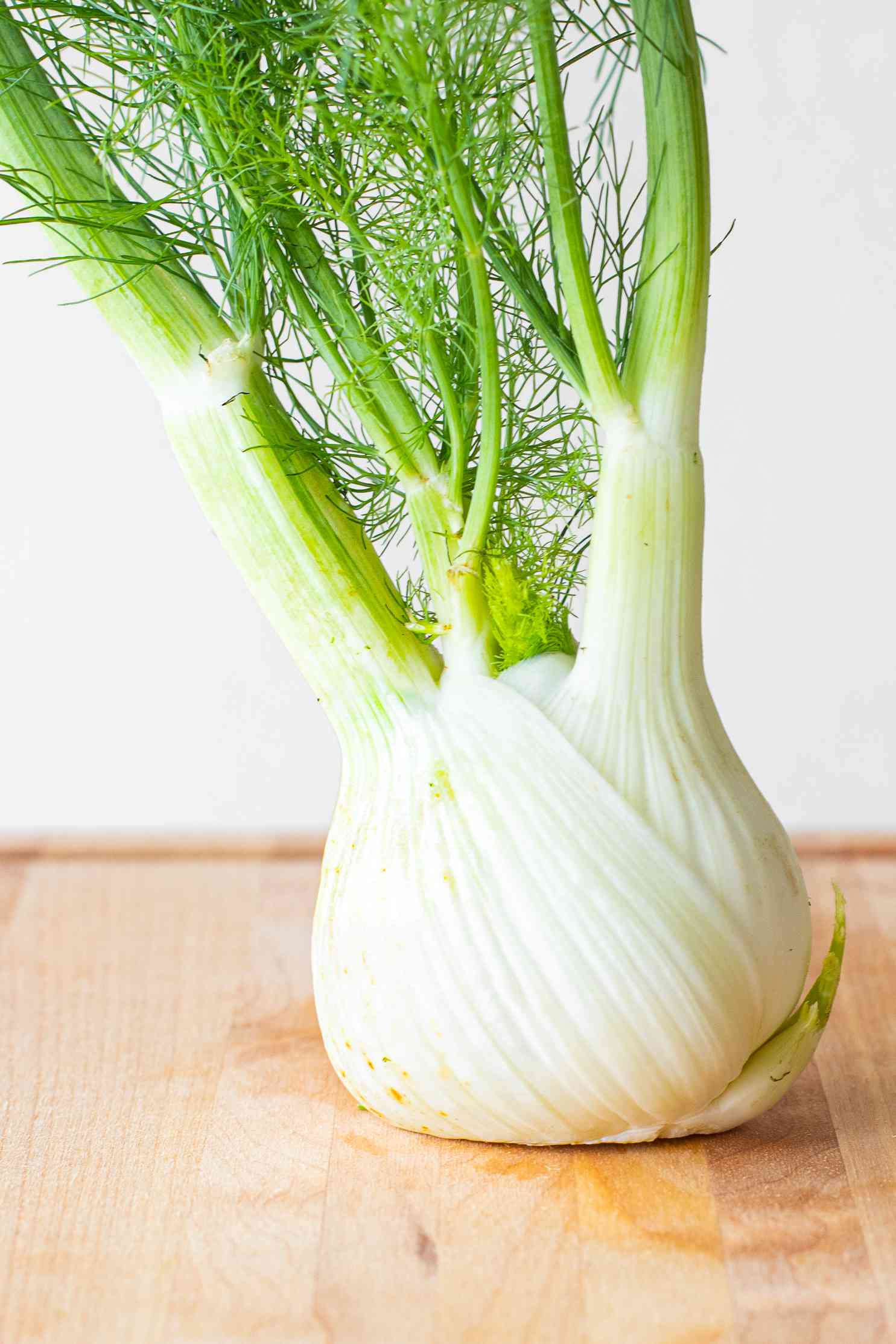 How to grow Fennel Plants from Seeds at Home FOVideoLibrary